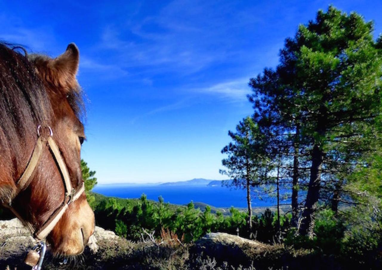Arxontiko Mytilineou - Skretaion Bed and Breakfast Νεοχώρι Εξωτερικό φωτογραφία